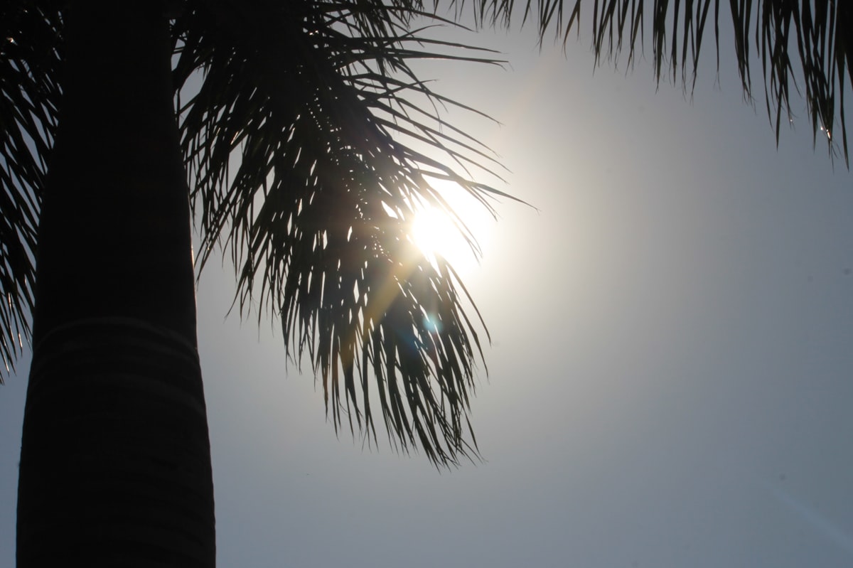 🌍 PCAET : agir localement pour le climat